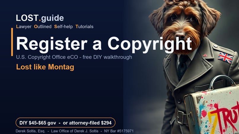 LOST.Guide - Lawyer Outlined Self-help Tutorials – screenshot 6