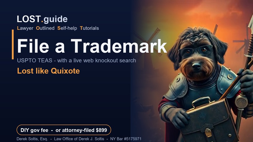LOST.Guide - Lawyer Outlined Self-help Tutorials – screenshot 8