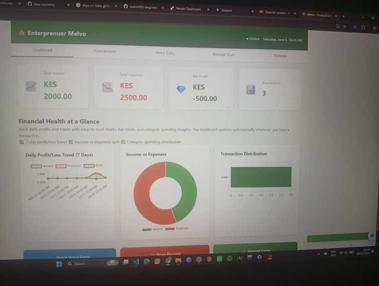 Melvo Financial Ledger – screenshot 1