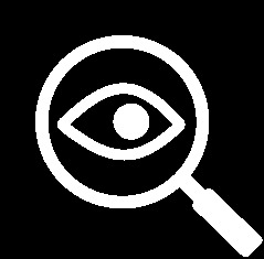 TruthLens – screenshot 2