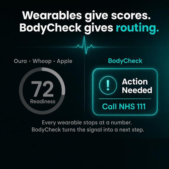 ModelAI BodyCheck – screenshot 3