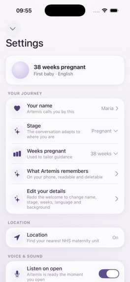 Artemis – screenshot 2