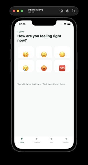 ThroughLine – screenshot 2