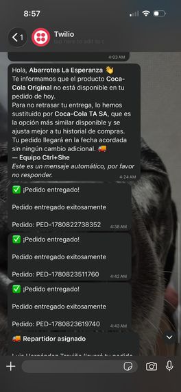Ruta Directa – screenshot 2