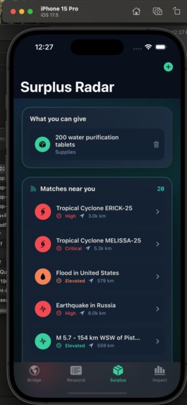 ReliefBridge – screenshot 2