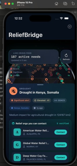 ReliefBridge – screenshot 3