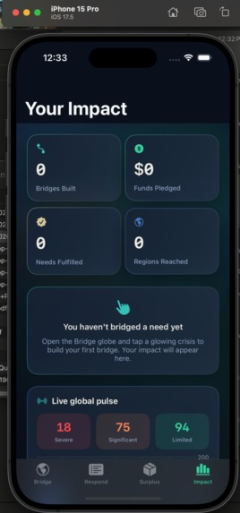 ReliefBridge – screenshot 4