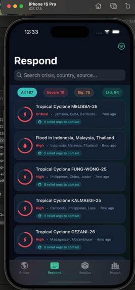 ReliefBridge – screenshot 5