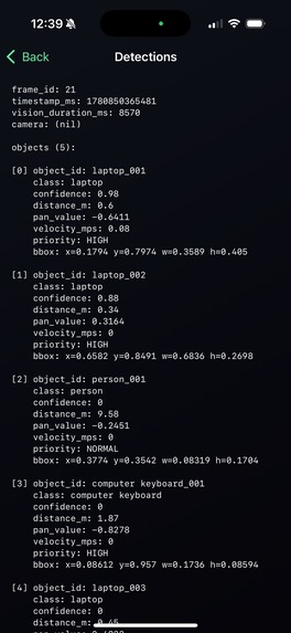 VisionBridge – screenshot 1