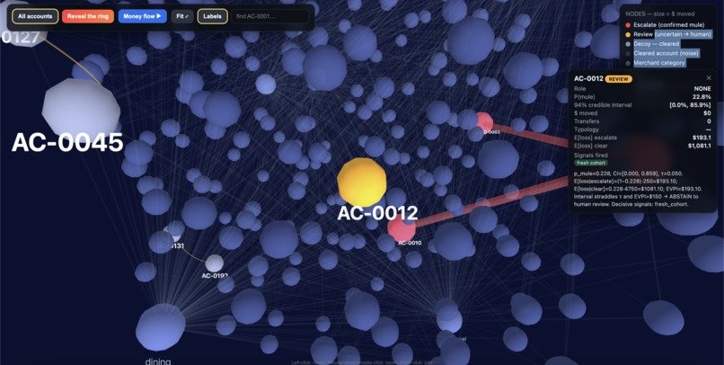 RingFence – screenshot 2