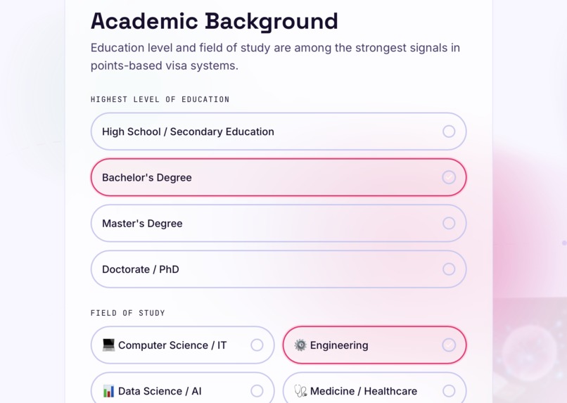 VisaPath AI – screenshot 2