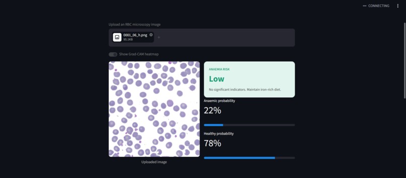 RedFlagAI – screenshot 1
