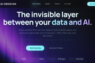 RGUS OBSIDIAN: The Privacy Layer for AI