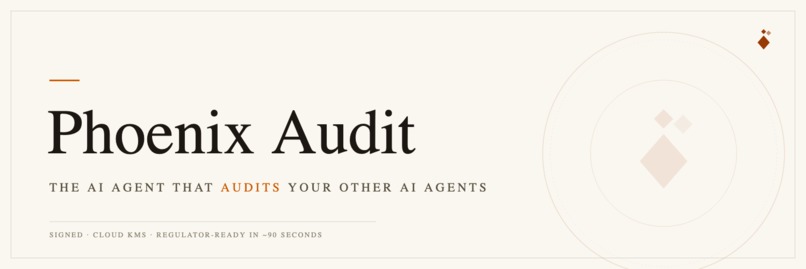 Phoenix Audit – screenshot 1
