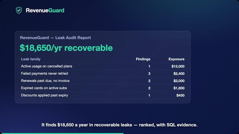 RevenueGuard — Agentic Revenue-Leak Auditor – screenshot 11