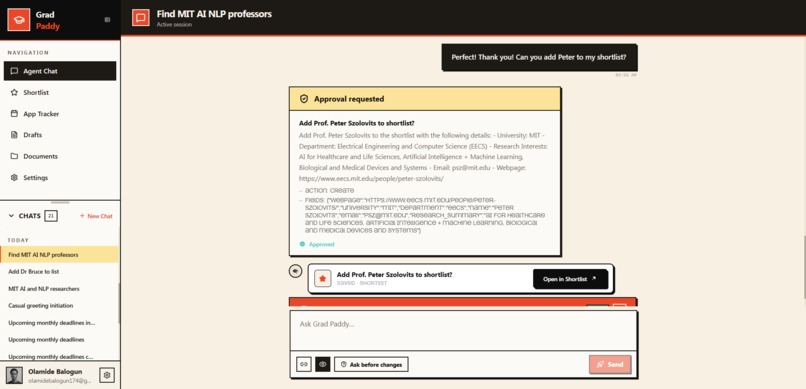 Grad Paddy – screenshot 2