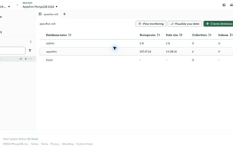 ApexFan-mongodb