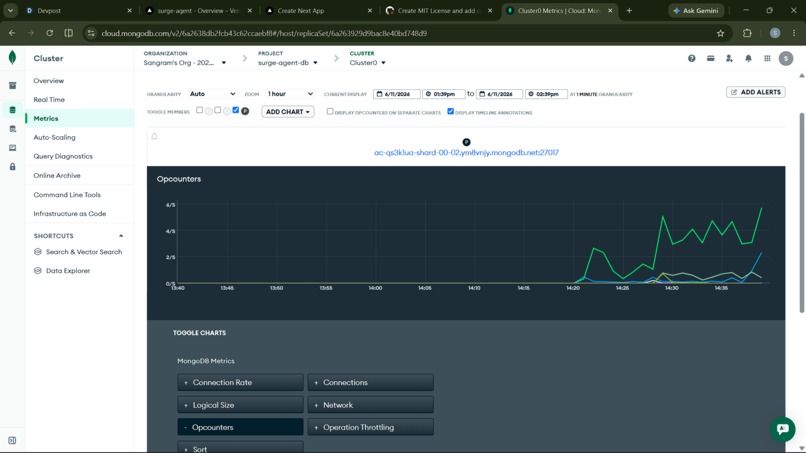 surge-agent – screenshot 3