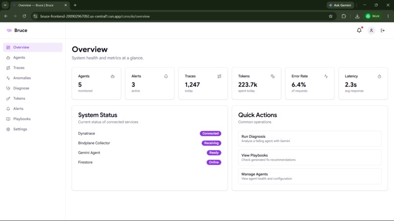 Bruce — AI Agent Observability Copilot – screenshot 5