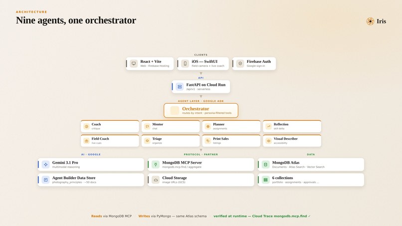 Iris — AI Photography Mentor with Persistent Memory – screenshot 10