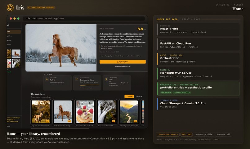 Iris — AI Photography Mentor with Persistent Memory – screenshot 3
