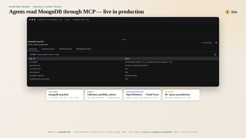 Iris — AI Photography Mentor with Persistent Memory – screenshot 11