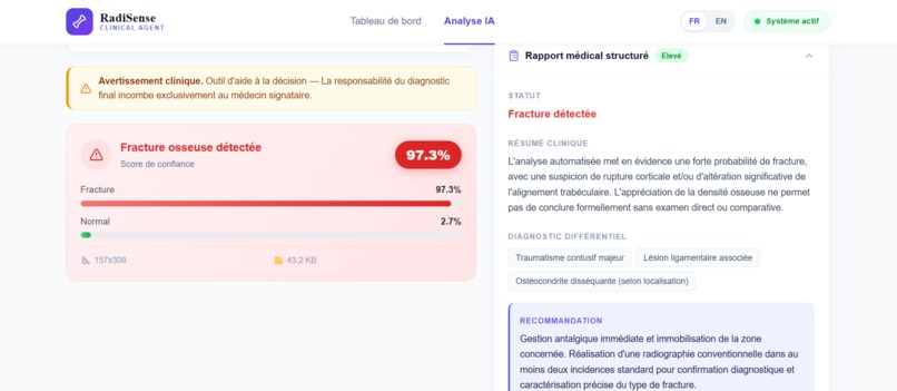 RadiSense – screenshot 4