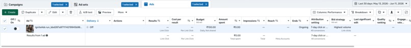 IgniteAds — AI agent that launches your ads, not just writes – screenshot 2