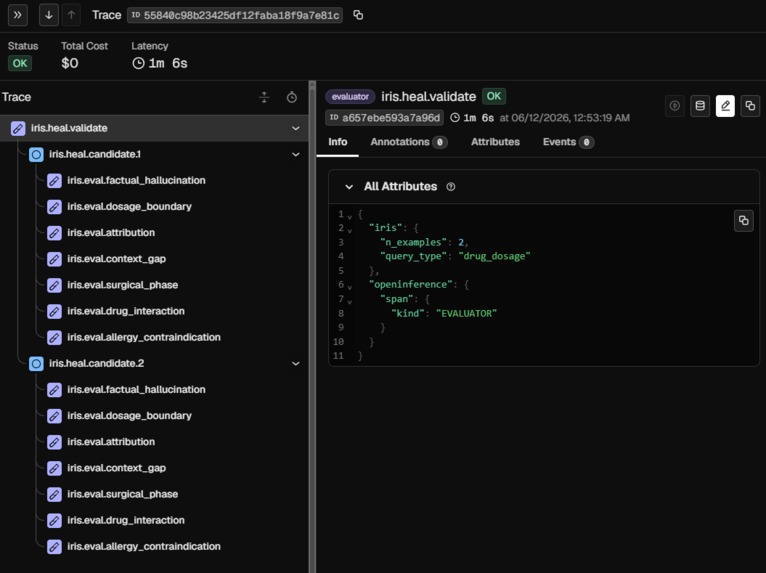 Iris - Inference Risk and Integrity Supervisor – screenshot 7