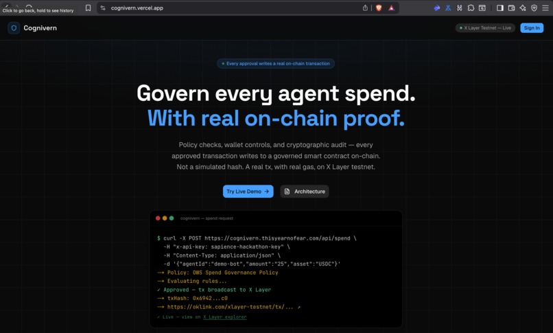 Cognivern – screenshot 6