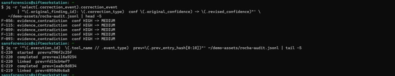 SAVVYDFIR-MCP – screenshot 7