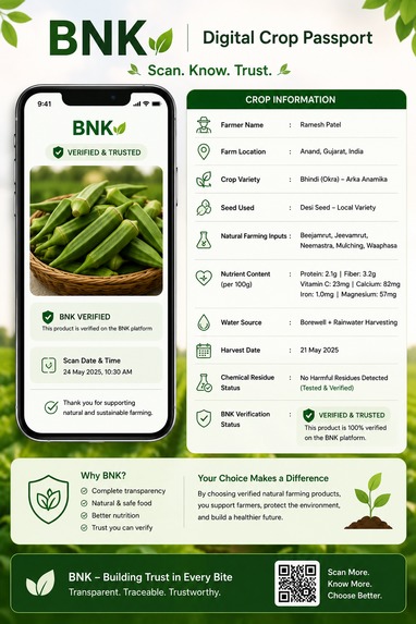 BNK – screenshot 2