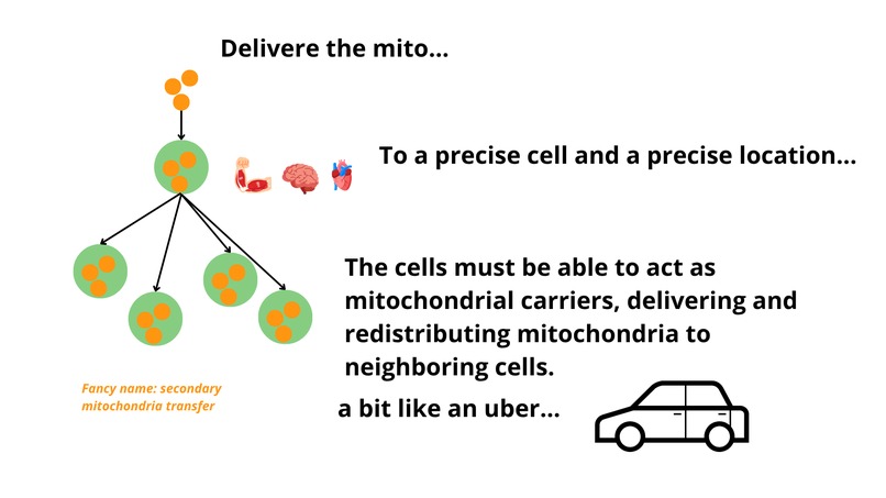 Mito Uber! – screenshot 2