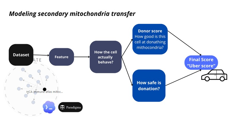 Mito Uber! – screenshot 3