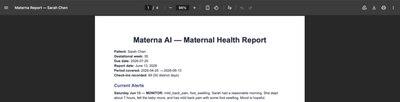 Materna AI – screenshot 2