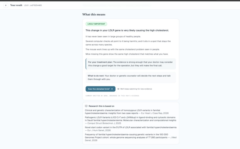 Surface – screenshot 3