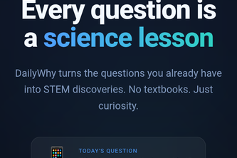 DailyWhy