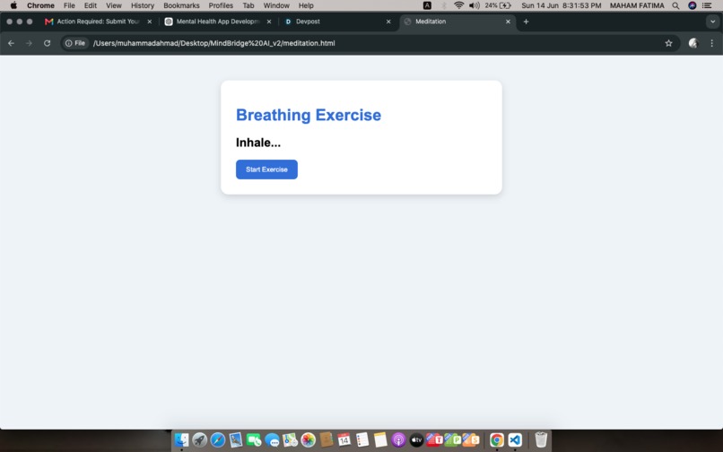 MindBridge AI – screenshot 2