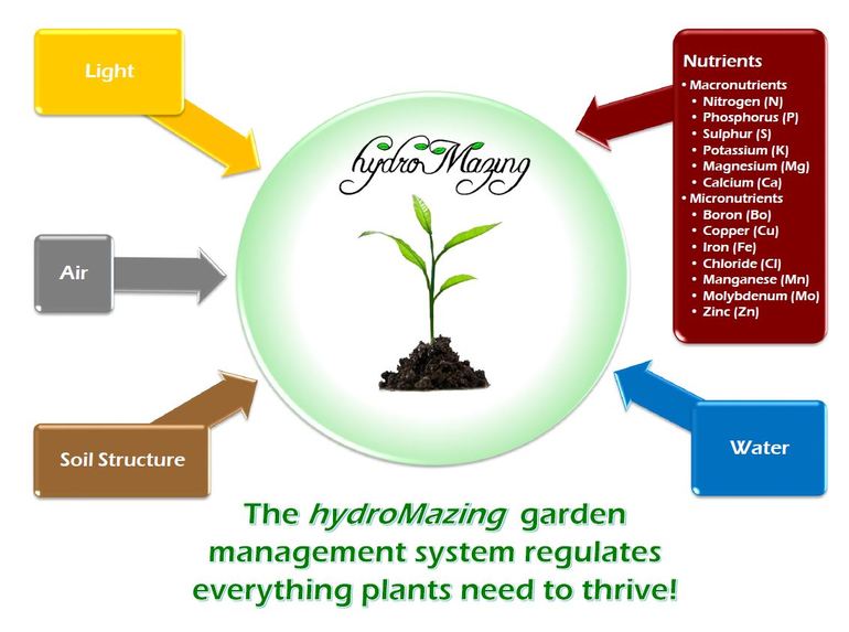 hydroMazing Sprout – screenshot 1