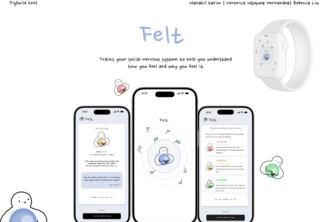 Felt
