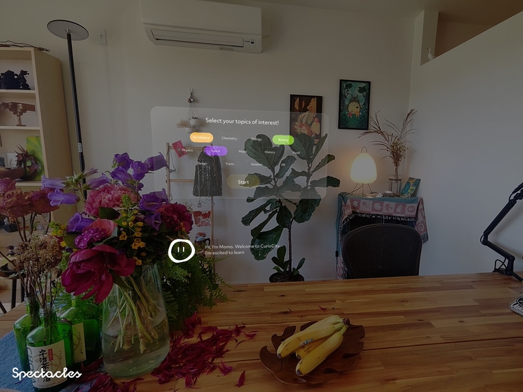 CurioCity – screenshot 5
