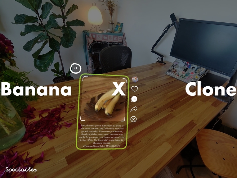CurioCity – screenshot 10