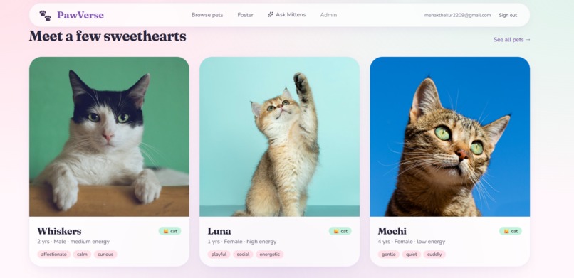 PawVerse-Mittens AI – screenshot 10
