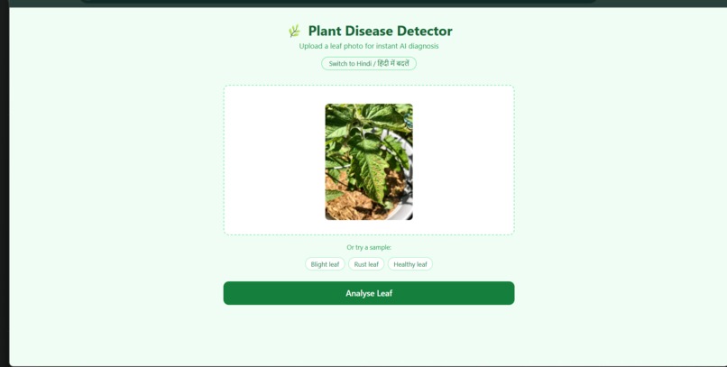 Plant disease detector – screenshot 1