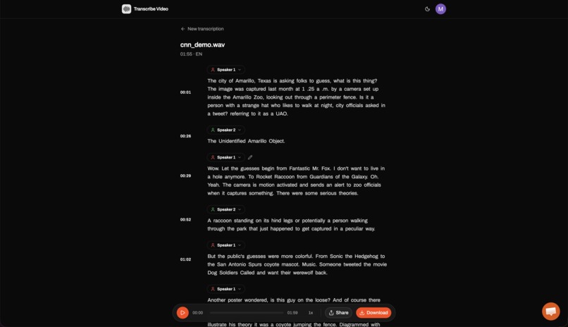 Transcribe Video to Text – screenshot 2