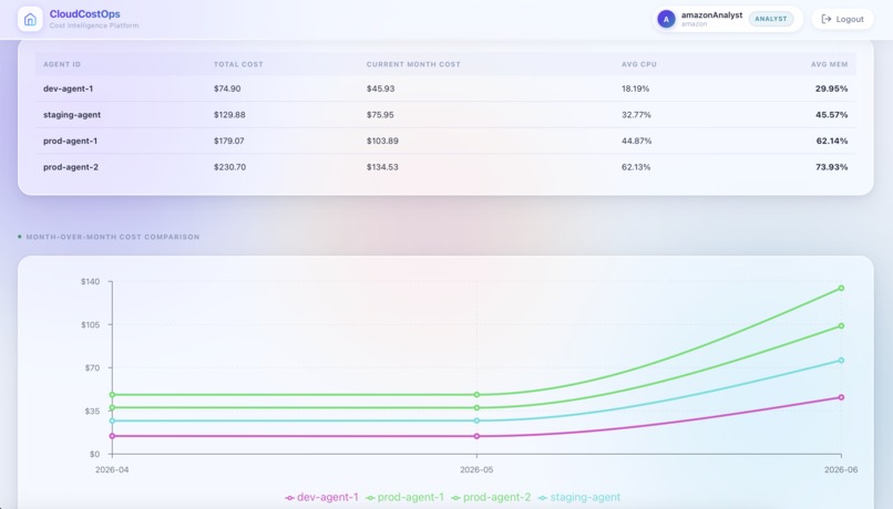 CloudCostOps – screenshot 3