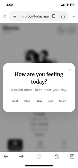 Bloom Today – screenshot 10