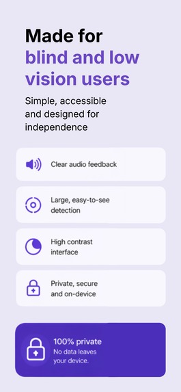 Wesla - Ai Accessibility App – screenshot 2