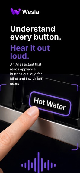 Wesla - Ai Accessibility App – screenshot 1