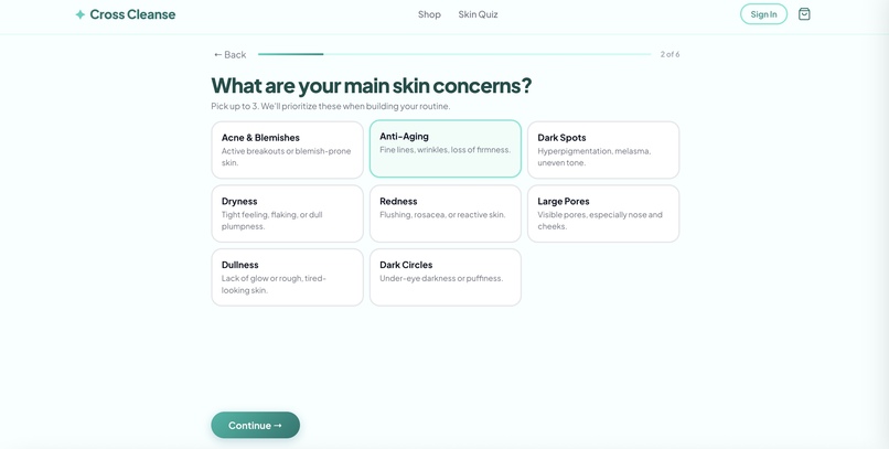 Cross Cleanse – screenshot 1